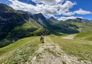 Percorso delle Grandi Alpi Ghiaia
