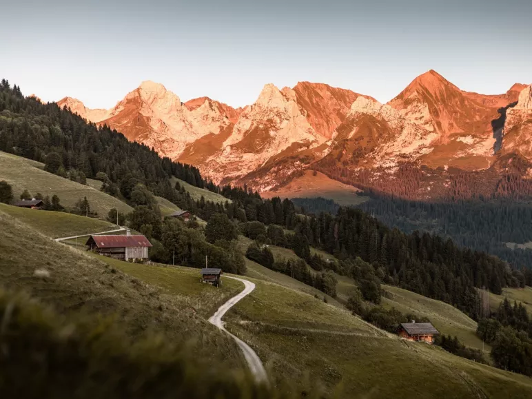 Gamma Aravis